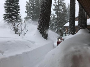 Mountainback #45, Den Mammoth Lakes